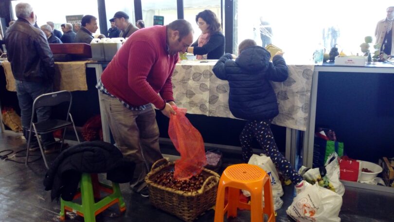 Whatsapp Image 2022 11 04 At 10.28.28