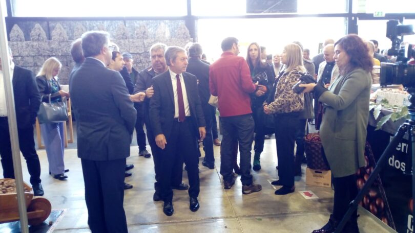 Whatsapp Image 2022 11 04 At 10.29.39