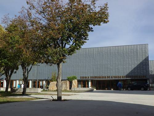 21920470199 69e145f15a