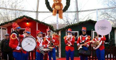 321042487 1657613301320158 8886289428355727279 N