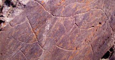 800px Rock Art Foz Coa 01