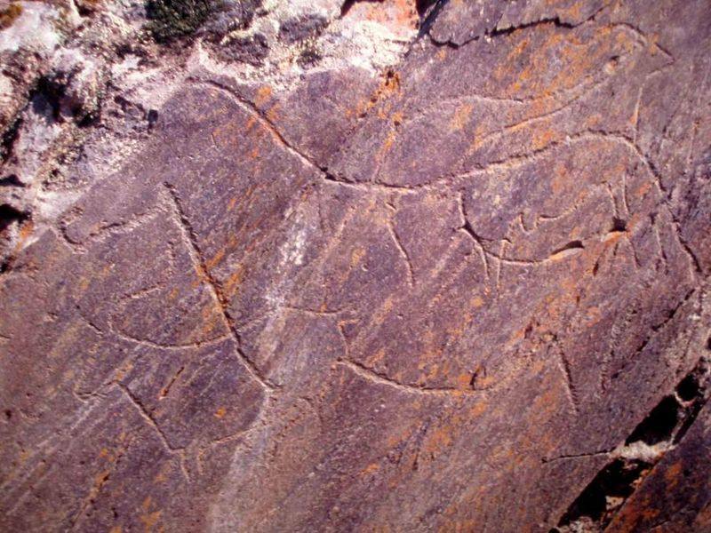 800px Rock Art Foz Coa 01