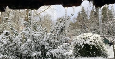 Whatsapp Image 2023 01 18 At 09.15.54 (1)