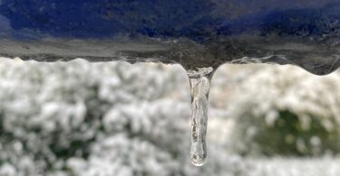 Whatsapp Image 2023 01 18 At 09.15.54 (2)