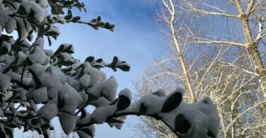 Whatsapp Image 2023 01 18 At 09.15.55 (1)