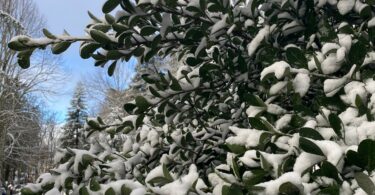 Whatsapp Image 2023 01 18 At 09.16.21 (1)