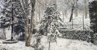 Whatsapp Image 2023 01 18 At 09.16.55 (1)