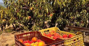 Ezgif.com Gif Maker (27)