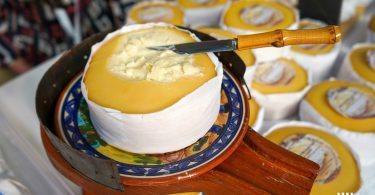 329989397 552654269976179 4618818510988704966 N