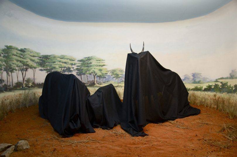 Dark Africa