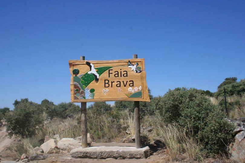 Faia Brava 2