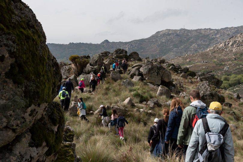 277580732 372533834882838 7716417688933168097 N