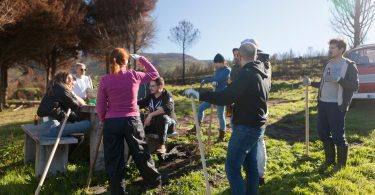 316298285 127697870127137 4253991592196274502 N