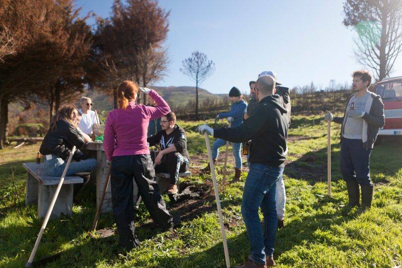 316298285 127697870127137 4253991592196274502 N