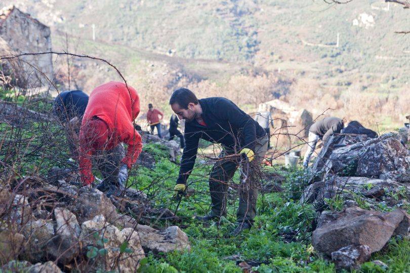 316554648 125667643663493 1653419162457084650 N