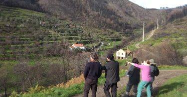 324434318 950281419681382 4605194344210761610 N