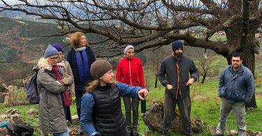 327473875 711958667038733 8556706144342261744 N