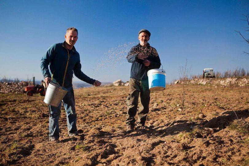 334017155 610517737559936 536078247234057408 N