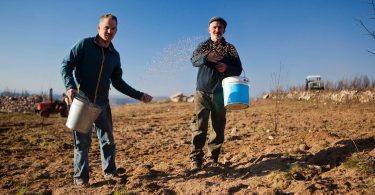 334017155 610517737559936 536078247234057408 N