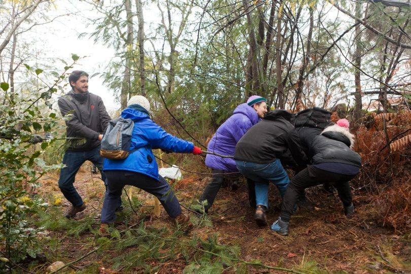 334409487 251434730552104 8692158391213391853 N