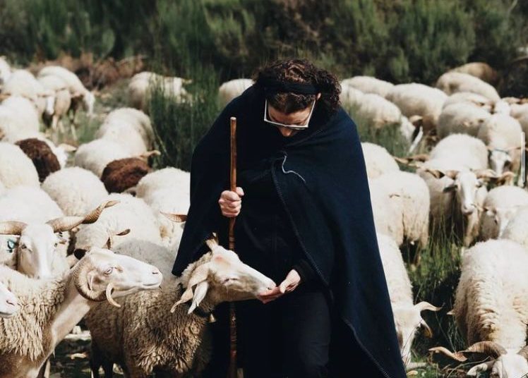 94dd4a79 9739 44c2 81d6 027ceefc609c