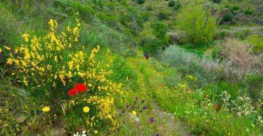 28042016 A7rii3446 1 1024x683