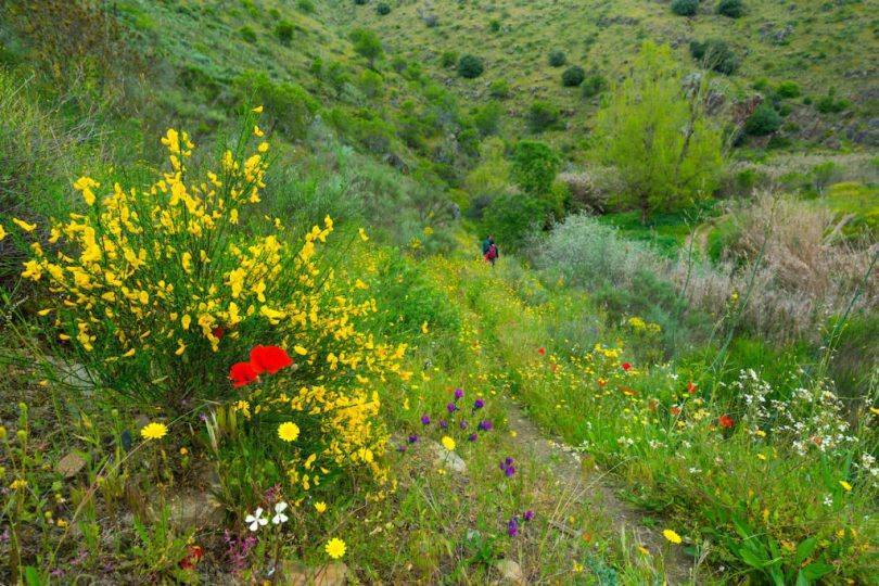 28042016 A7rii3446 1 1024x683