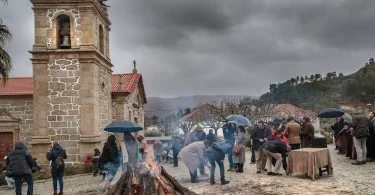 Magusto Velha 2017