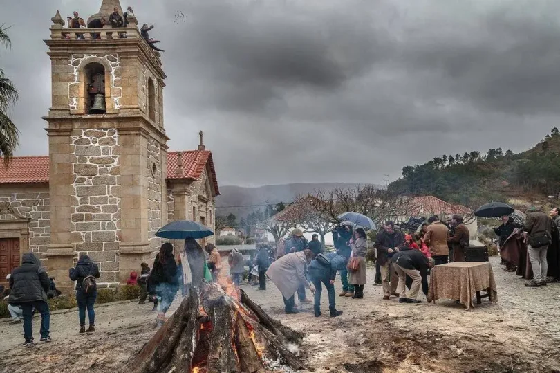 Magusto Velha 2017