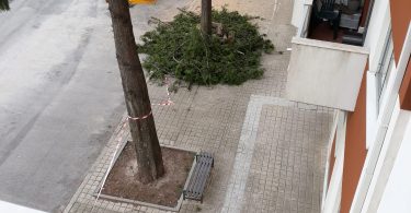 Whatsapp Image 2023 04 21 At 10.59.56