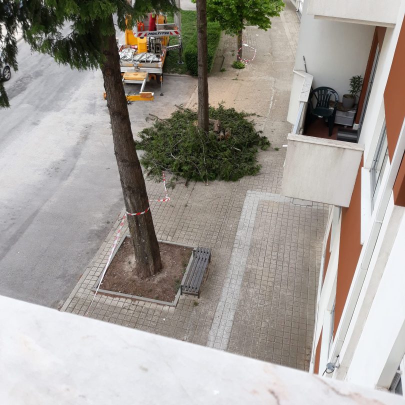 Whatsapp Image 2023 04 21 At 10.59.56