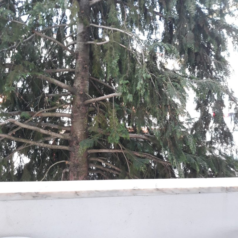 Whatsapp Image 2023 04 21 At 10.59.57 (1)