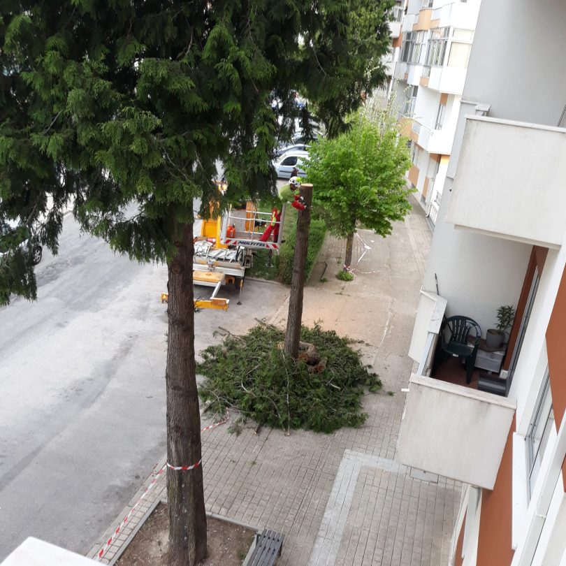 Whatsapp Image 2023 04 21 At 10.59.57