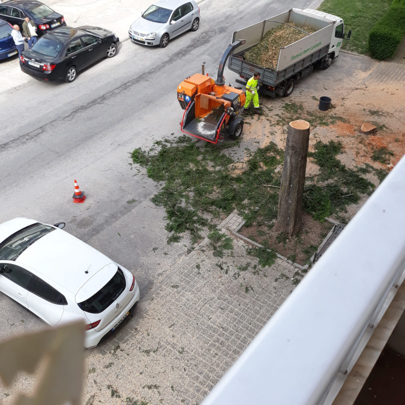 Whatsapp Image 2023 04 21 At 11.00.02