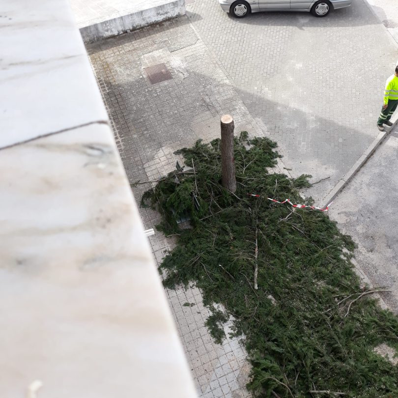 Whatsapp Image 2023 04 21 At 11.00.05