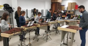 Zethoven Plante Um Musico