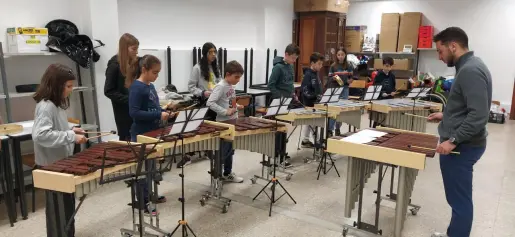 Zethoven Plante Um Musico