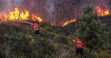 Incêndio Ourém Espite 2022 Rg 1 I0cr