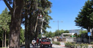Img 8723