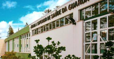 118523287 3534130826621389 3941299205912194740 N