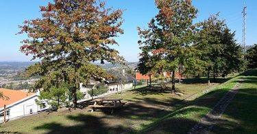 Faias 2 Centro De Interpretação Da Serra Da Estrela