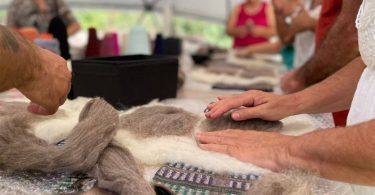 306525877 463922555781141 2402146233434443625 N