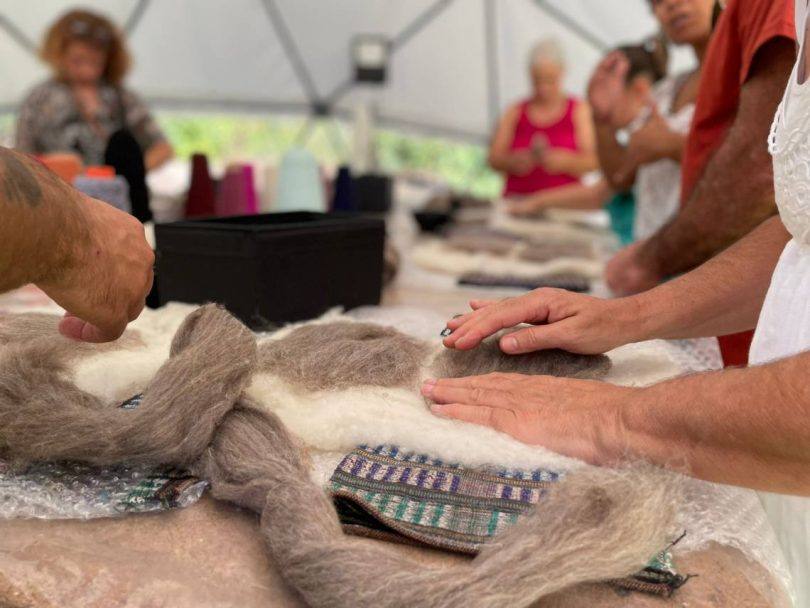 306525877 463922555781141 2402146233434443625 N