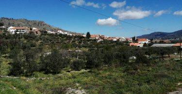 338011346 1241954776729330 4884373823503276458 N