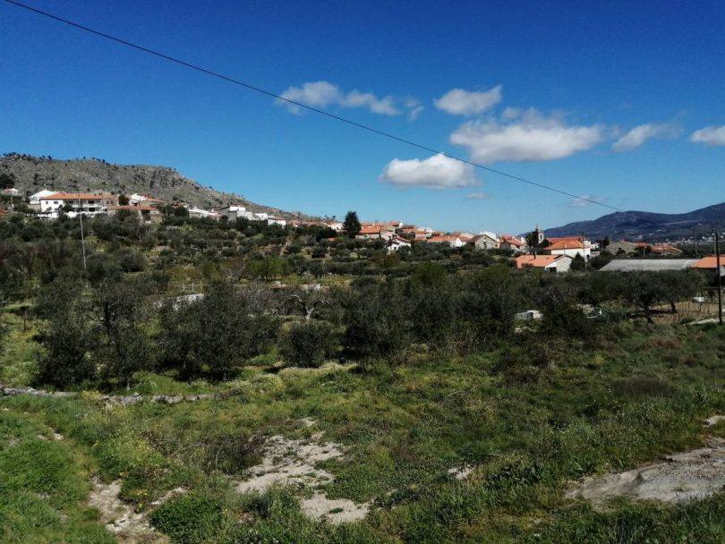 338011346 1241954776729330 4884373823503276458 N