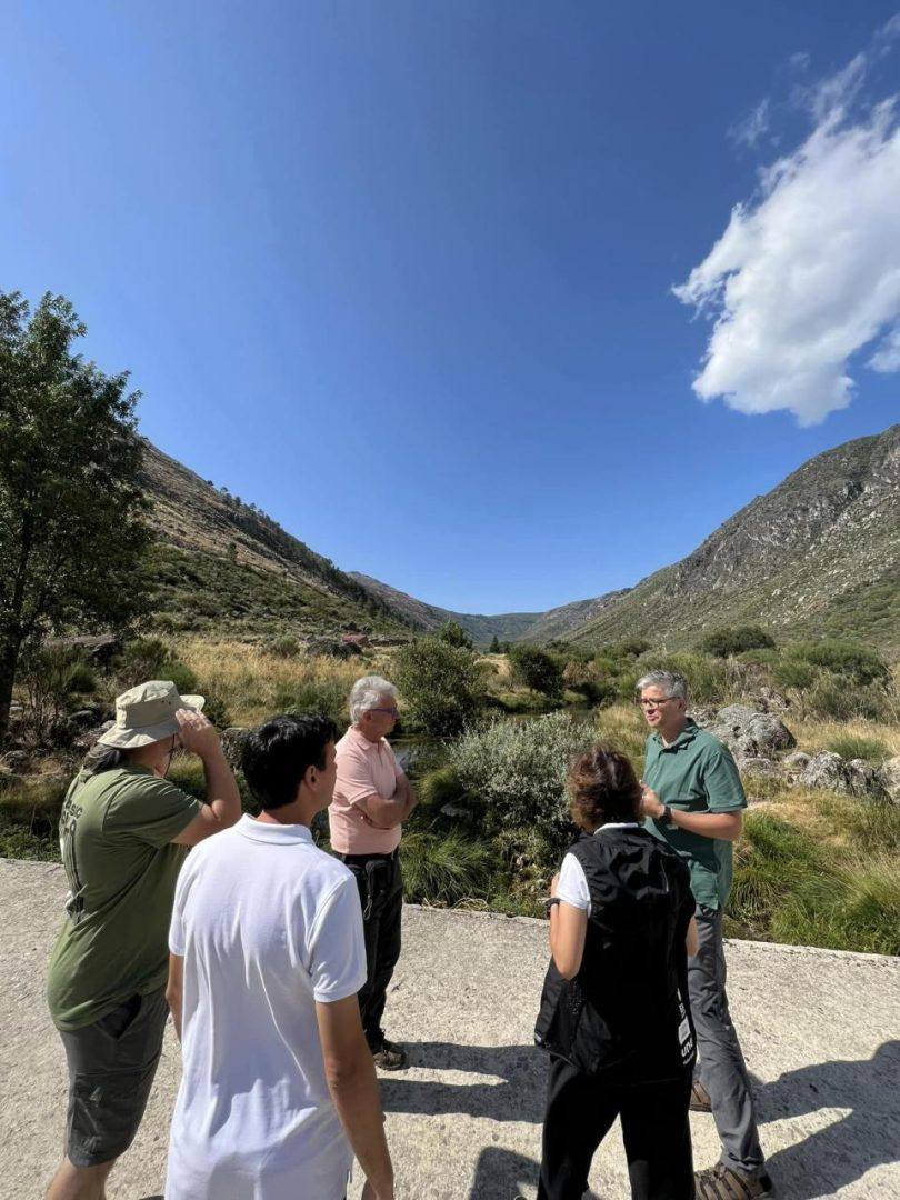 363342102 309048235019667 6874626198678052984 N