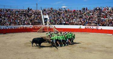 369580593 671441551693163 6345220426996003818 N