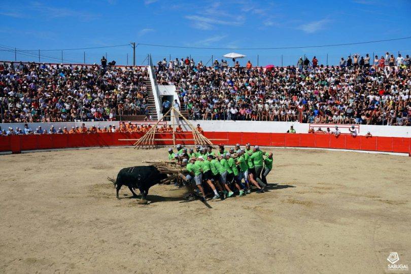 369580593 671441551693163 6345220426996003818 N