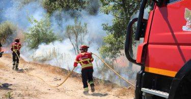Serra Da Estrela (1)