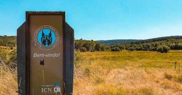 Ezgif.com Webp To Jpg (1)